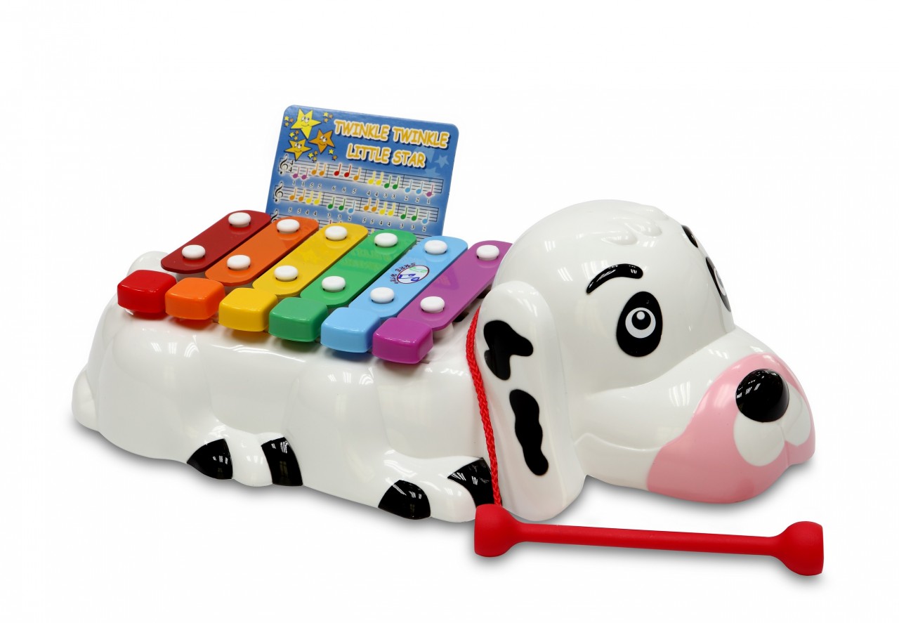 dog xylophone